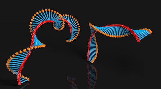 Free-C4D-3D-Xpresso-Rig-DNA-Helix