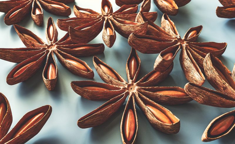 Free Cinema 4D 3D Model Anise Spice