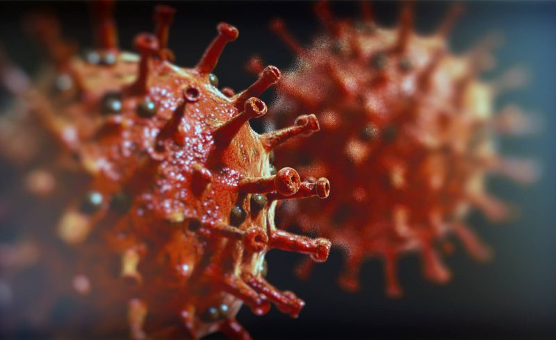 Free Cinema 4D 3D Model Corona Virus