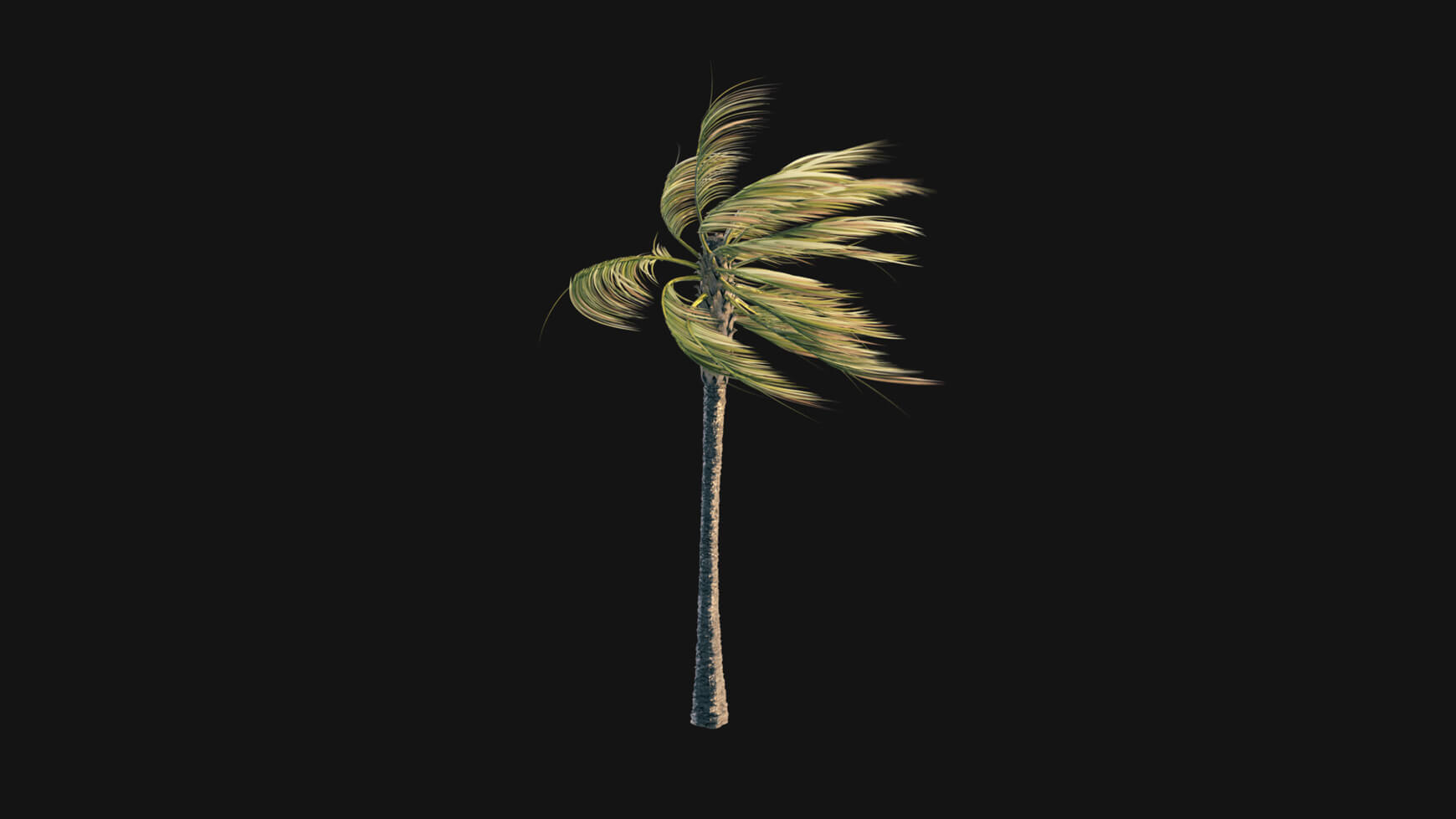 Vegetation Trees Animated Palm 3D Assets