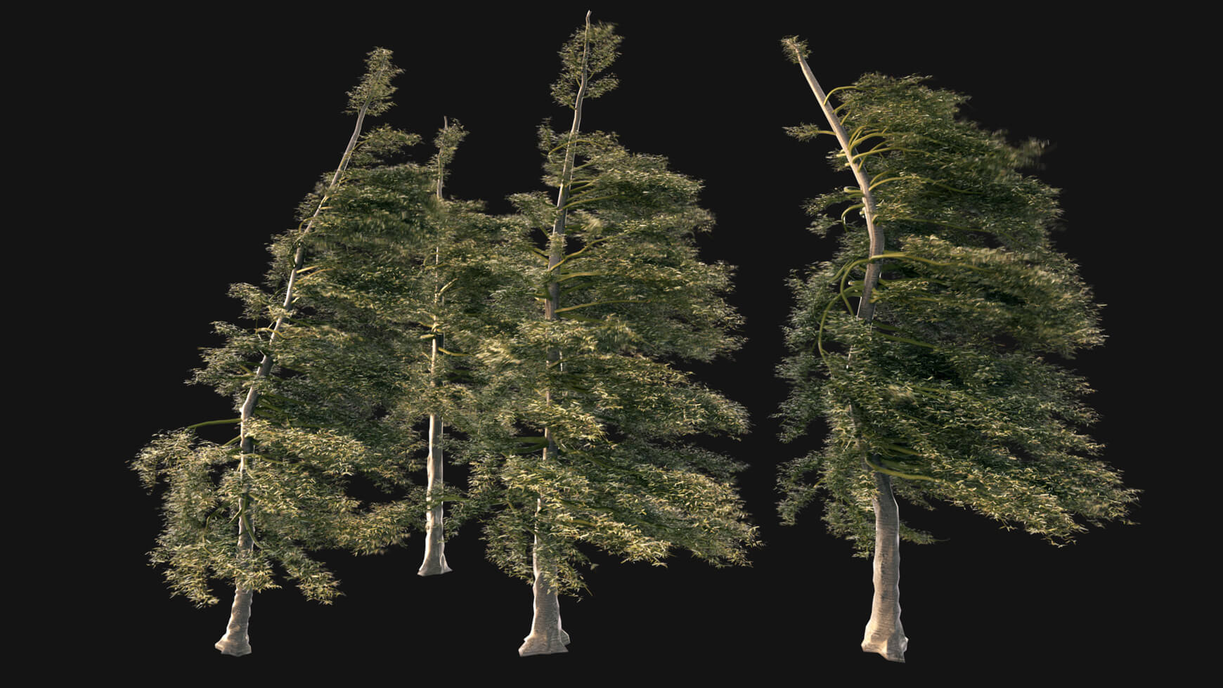 Pine Tree Vegetation Asset VFX 3D Element Model Animated