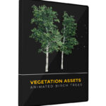 Vegetation Animated Trees Birch VFX Asset Model 3D