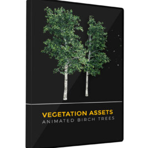 Vegetation Animated Trees Birch VFX Asset Model 3D