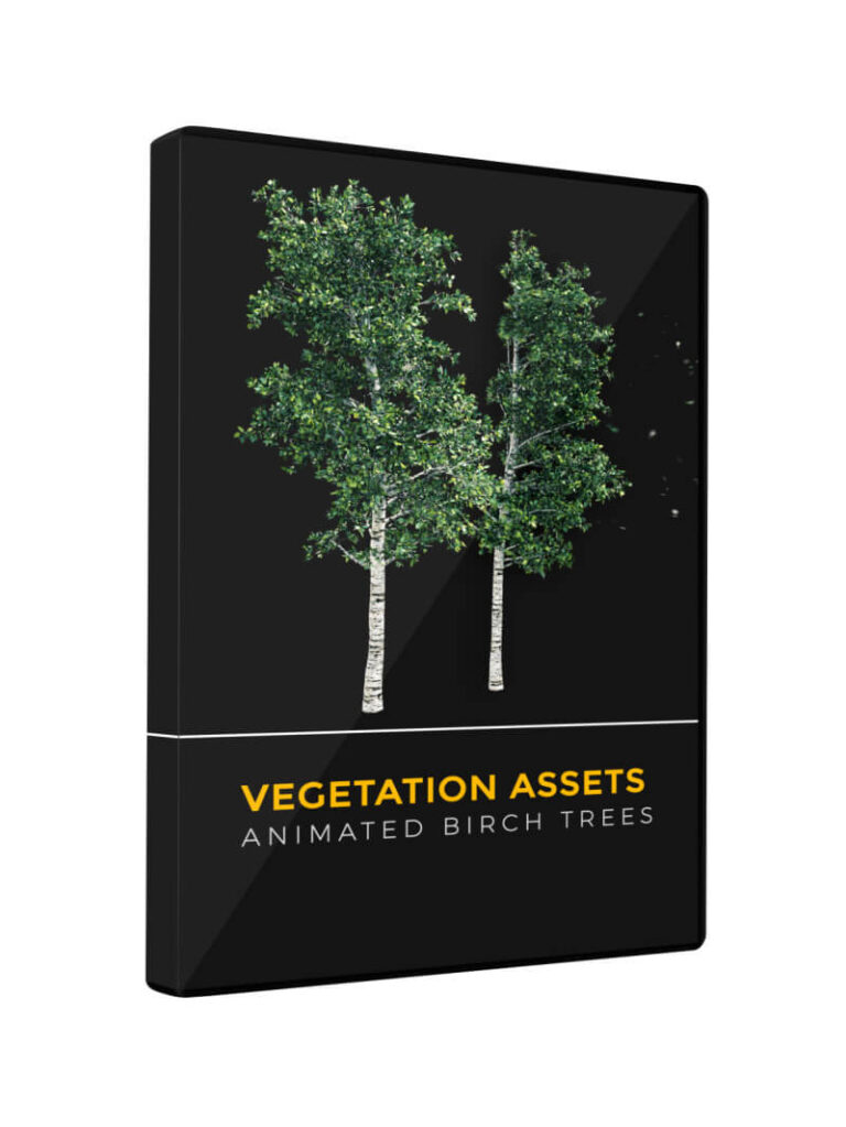 Vegetation Animated Trees Birch VFX Asset Model 3D