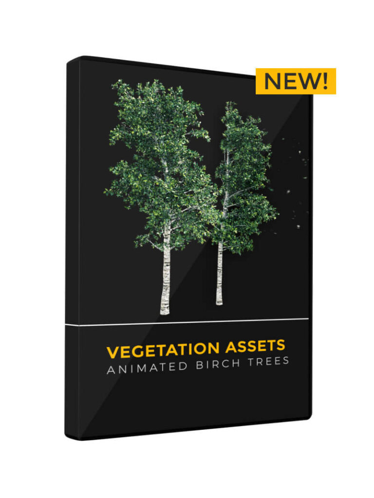 Vegetation Animated Trees Birch VFX Asset Model 3D