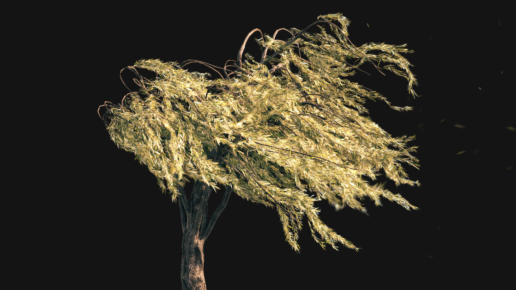 VFX 3D Animated Willow Tree Asset Model