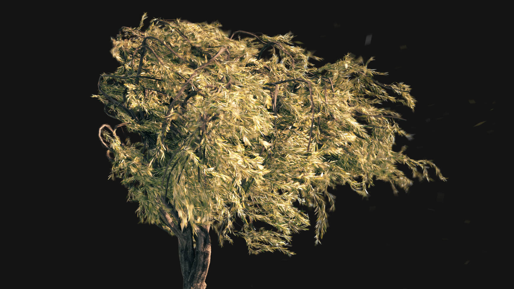 VFX 3D Animated Willow Tree Asset Model